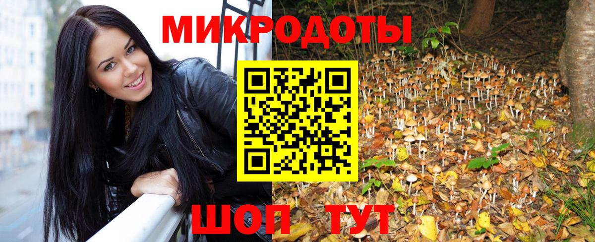 Псилоцибиновые грибы MAGIC MUSHROOMS Чапаевск